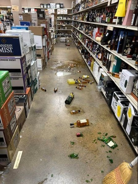 পুরো মদের দোকান তছনছ করেছিল বুনো র্যাকুন। ছবি: সংগৃহীত