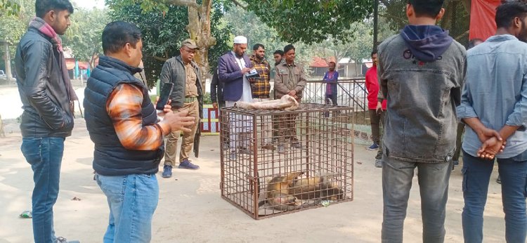 বন বিভাগের অভিযানে বিভিন্ন প্রজাতির প্রাণী জব্দ করা হয়েছে। ছবি: আজকের পত্রিকা