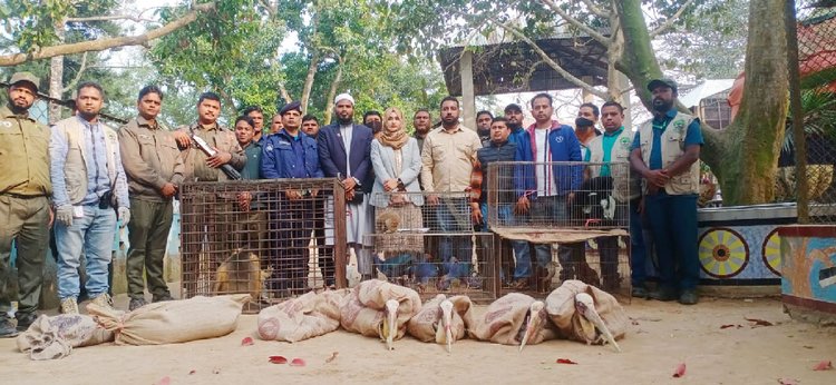 বন বিভাগের অভিযানে বিভিন্ন প্রজাতির প্রাণী জব্দ করা হয়েছে। ছবি: আজকের পত্রিকা