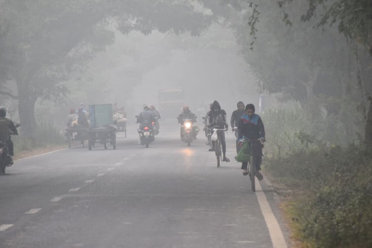 রাজশাহীতে কুয়াশার মধ্যে রাস্তা দিয়ে চলছে গাড়ি। ছবি: আজকের পত্রিকা