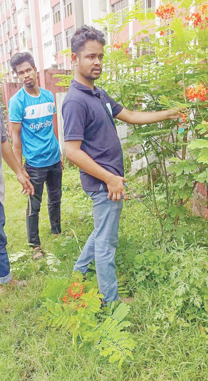 বৃক্ষ রোপণ, পরিচর্যা ও ফুটপাত পরিচ্ছন্নতা কর্মসূচি-২০২৫ পালন এবং নতুন বৃক্ষরোপণ কর্মসূচি পালন করেছে পাঠকবন্ধু, যবিপ্রবি শাখা। ছবি: সংগৃহীত