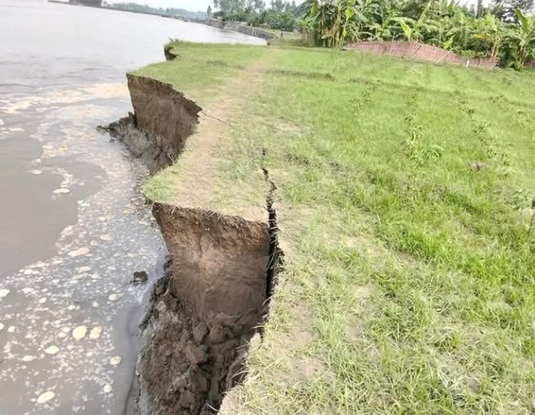 ইসলামপুরের সাপধরী ইউনিয়নে যমুনা নদীতে তীব্র ভাঙন দেখা দিয়েছে। ছবি: আজকের পত্রিকা