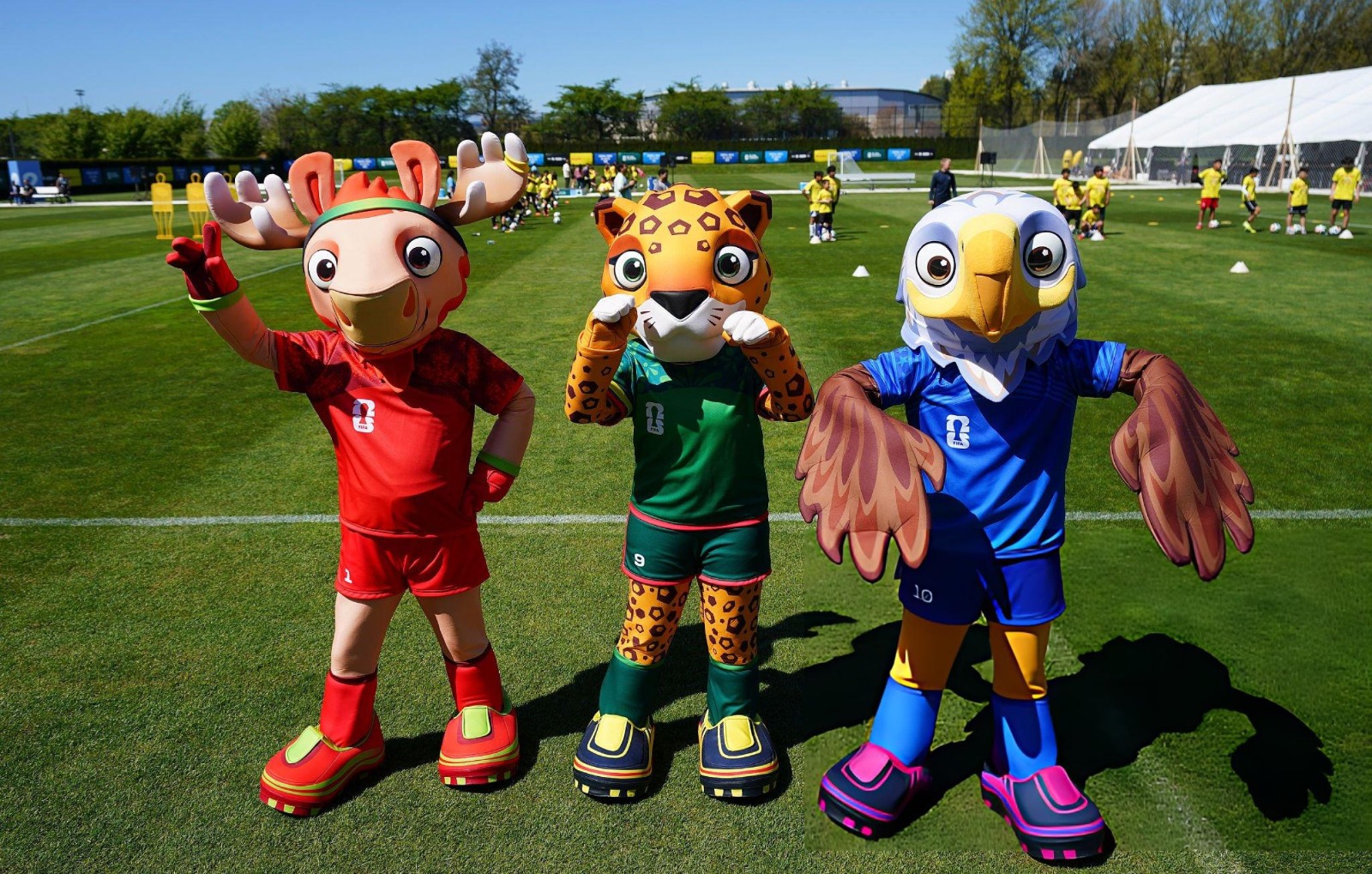 Worldcup ball image