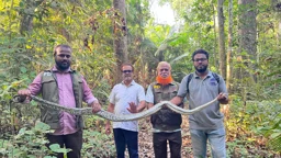ফটিকছড়িতে লোকালয় থেকে অজগর উদ্ধার, বন্যপ্রাণী অভয়ারণ্যে অবমুক্ত
