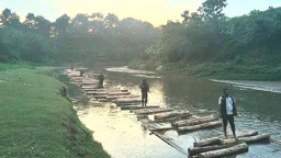 লক্ষ্মীছড়িতে সেনা অভিযানে ৩০ লাখ টাকার কাঠ-বাঁশ জব্দ
