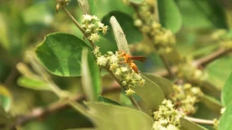 দিনের ছবি (২৩ অক্টোবর, ২০২৬)