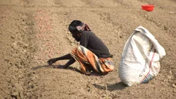 দিনের ছবি (২৪ অক্টোবর, ২০২৬)