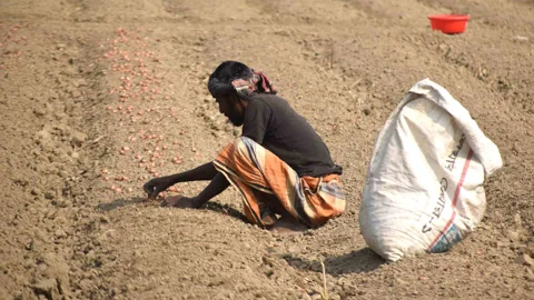 দিনের ছবি (২৪ অক্টোবর, ২০২৬)