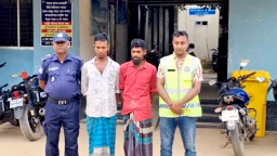 সীমান্তে ১২ ভারতীয় গরুসহ আটক ২ চোরাকারবারি