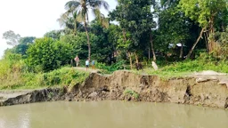 অসময়ে হঠাৎ নদীভাঙন, এক মাসে বিলীন ১৫ বসতবাড়ি