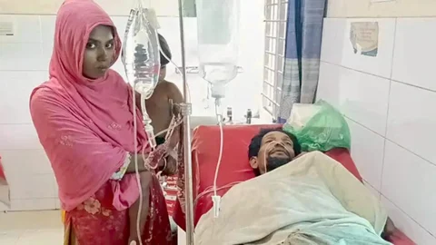 বিল থেকে ধরে এনে বাড়িতে পুষছিলেন গোখরা, কামড়ে হাসপাতালে কাঠমিস্ত্রি
