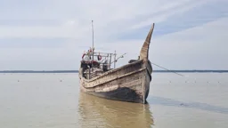 মনপুরায় ১৩ মণ মা ইলিশ জব্দ, জরিমানা
