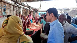 গুরুদাসপুরে অসুস্থ গরু জবাই করে মাংস বিক্রি, কসাইকে জরিমানা