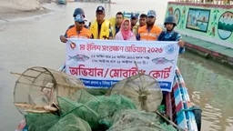 মানিকগঞ্জে ১৪ দিনে ১৫৭ অভিযান, তবু বন্ধ হচ্ছে না ইলিশ শিকার