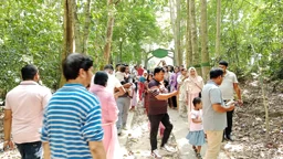 মৌলভীবাজার: লাউয়াছড়ায় পর্যটকের ভিড়
