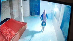 নাটোরে মাজারের সিন্দুক ও মসজিদের দানবাক্স ভেঙে টাকা চুরি