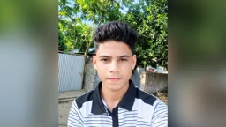 শখ করে পাখি ভ্যান চালাতে গিয়ে বিদ্যুতের খুঁটিতে ধাক্কা, স্কুলছাত্রের মৃত্যু