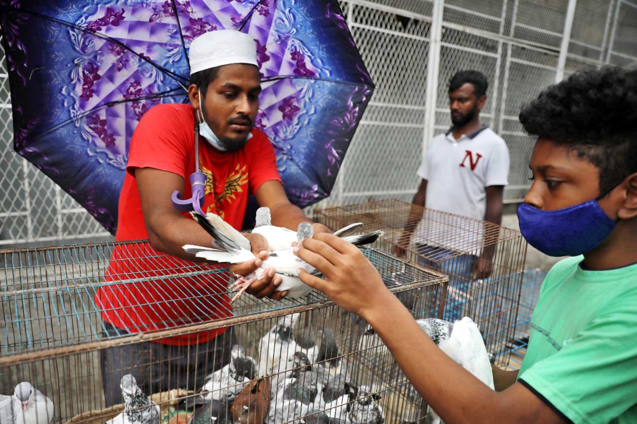 কাপ্তান বাজারে সারি সারি কবুতরের খাঁচা। প্রতি শুক্রবার এখানে বসে দেশি বিদেশি নানা জাতের কবুতরের হাট। সারা বছরই সমান তালে বেচাকেনা চলে। ছবি: সৈয়দ মাহামুদুর রহমান