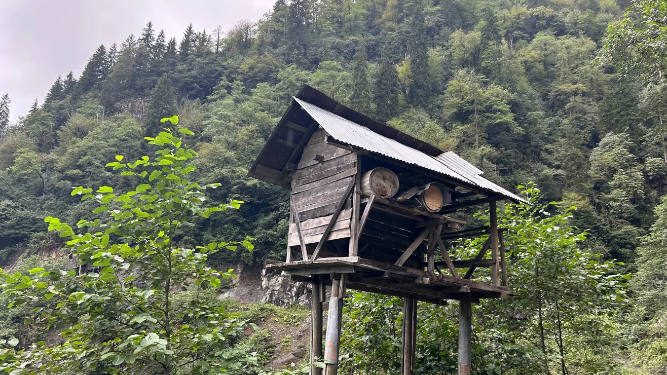 তুরস্কের একটি মৌমাছি পালন ঘর। ছবি: সিএনএন