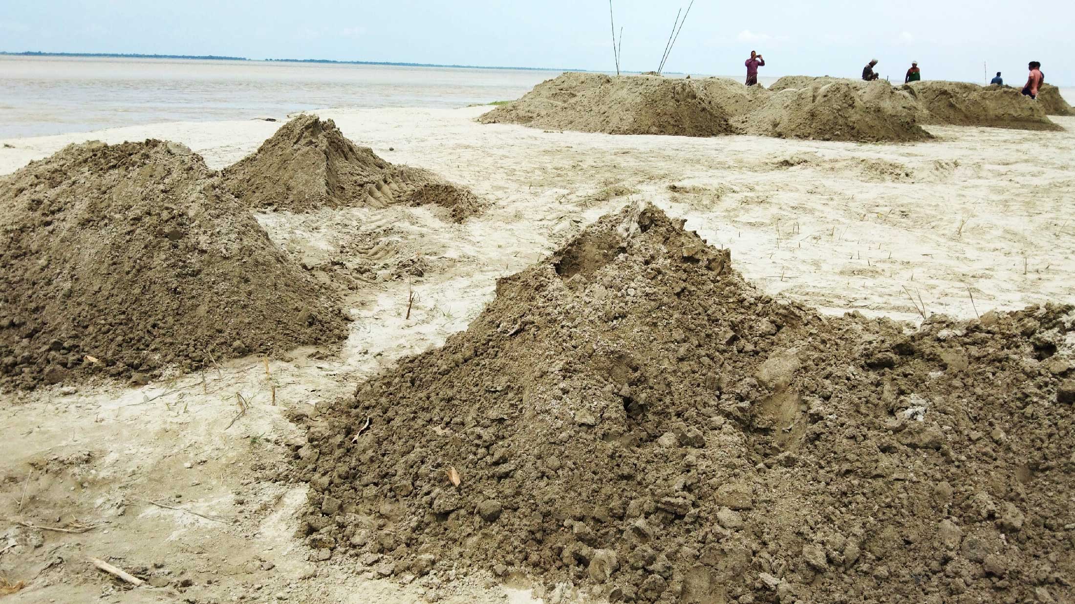 পদ্মার ভাঙন রোধে বাঁধ নির্মাণ, জিও ব্যাগে বালির পরিবর্তে মাটি