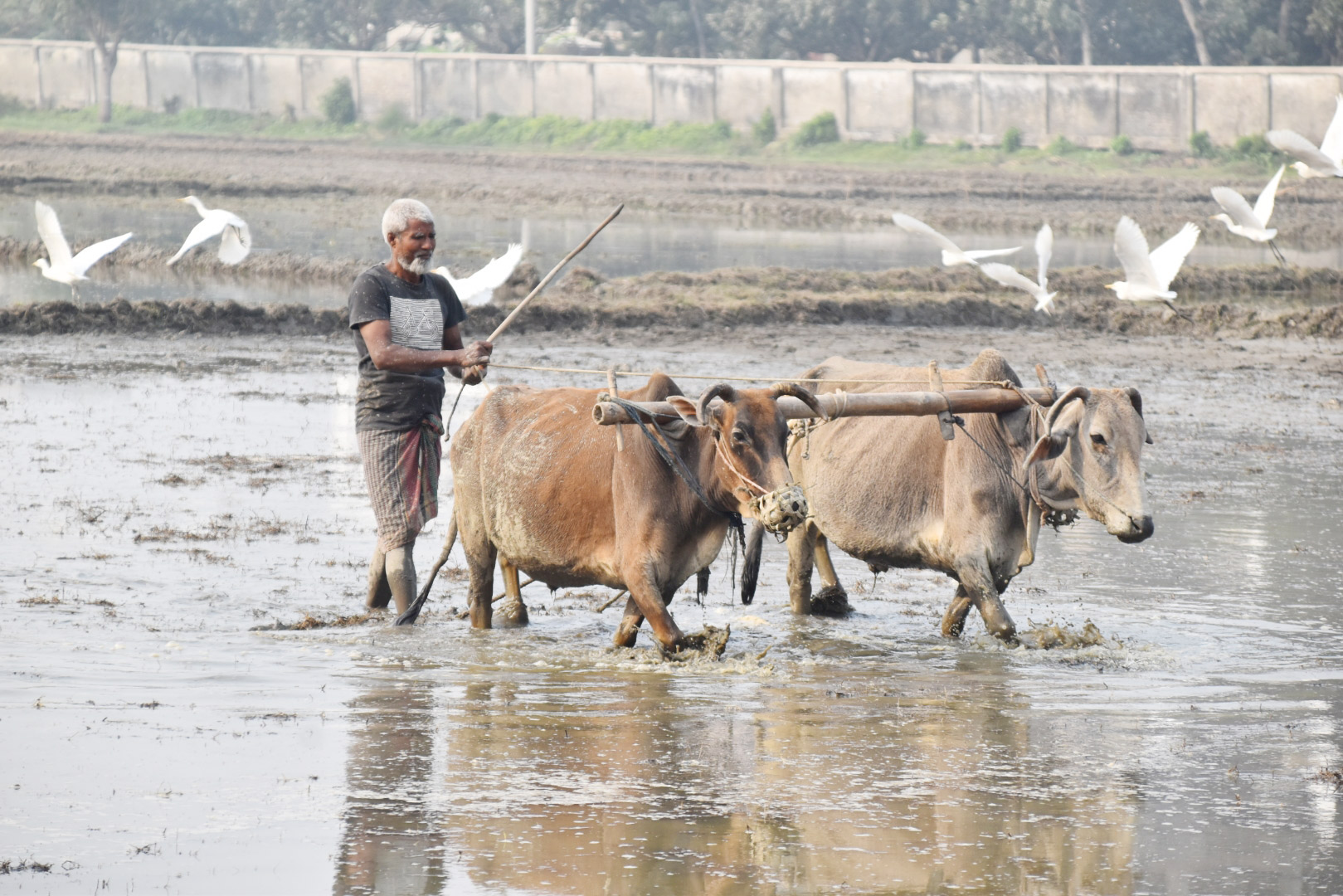 দিনের ছবি (০৬ ফেব্রুয়ারি, ২০২৩)