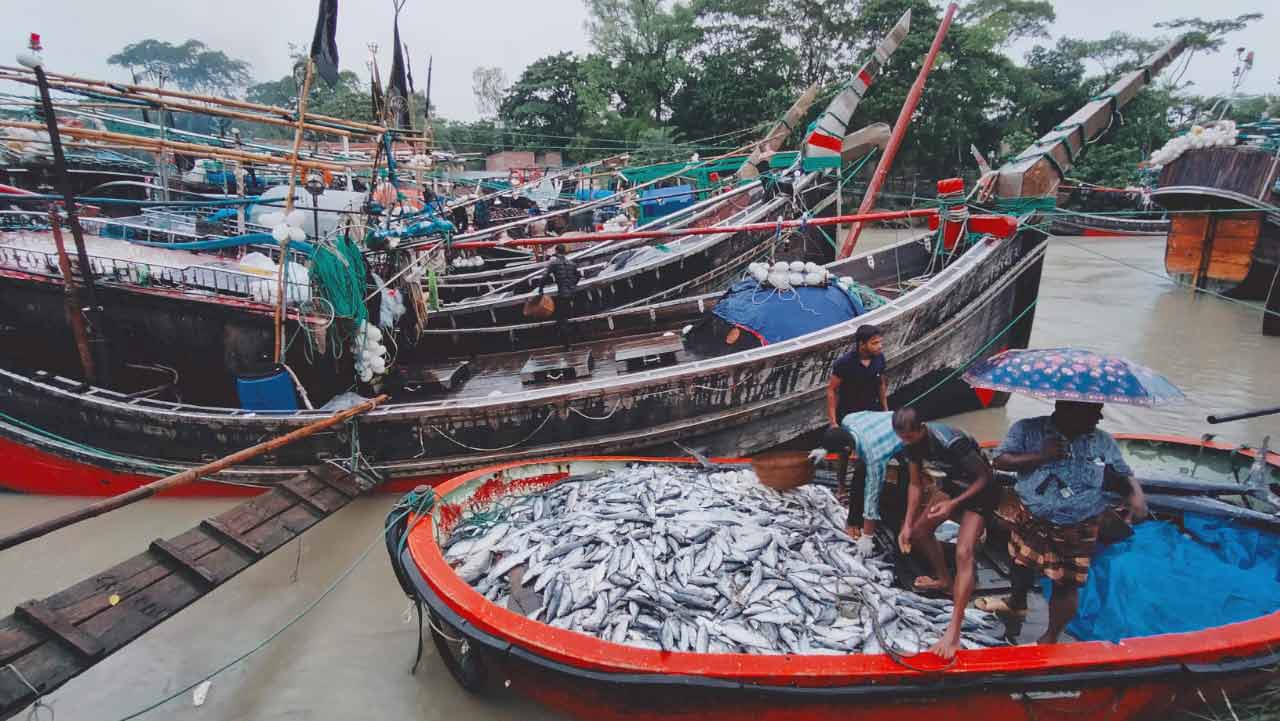 মাইকিং করে বিক্রি হচ্ছে ইলিশ, কেজি ৩৫০ 