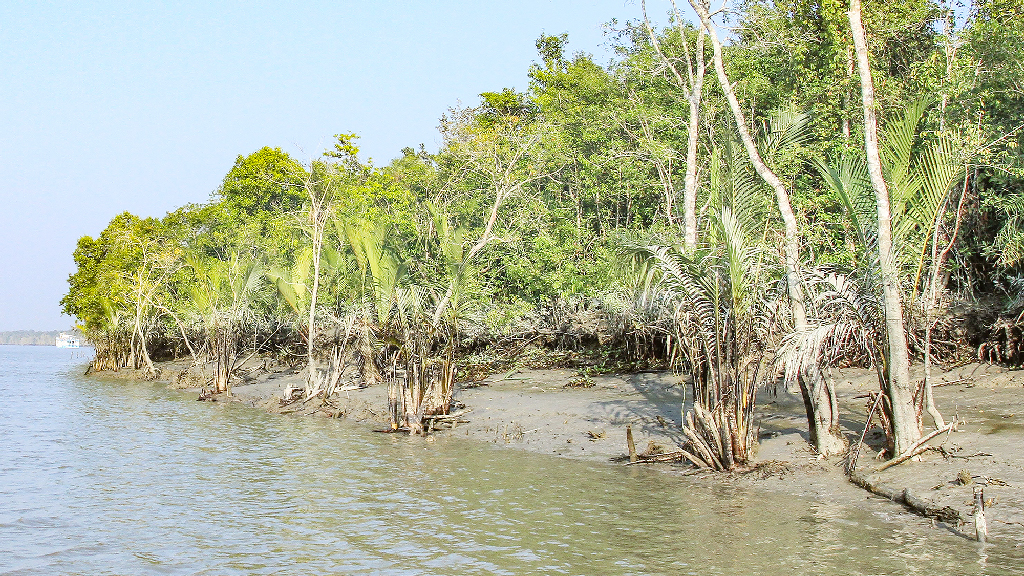 পরিবেশ রক্ষার রাজনীতি ও দায়বদ্ধতা