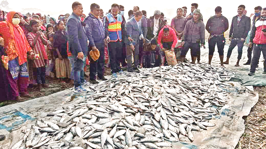 জাটকা জব্দ, ৬ জনের কারাদণ্ড