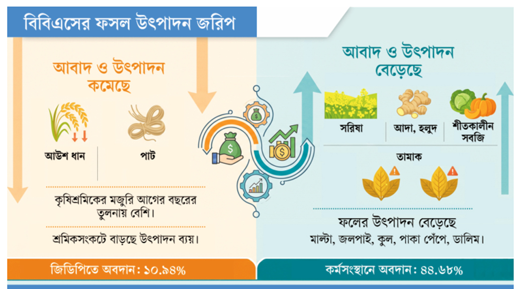 লাভের ফসলে ঝুঁকছেন কৃষক