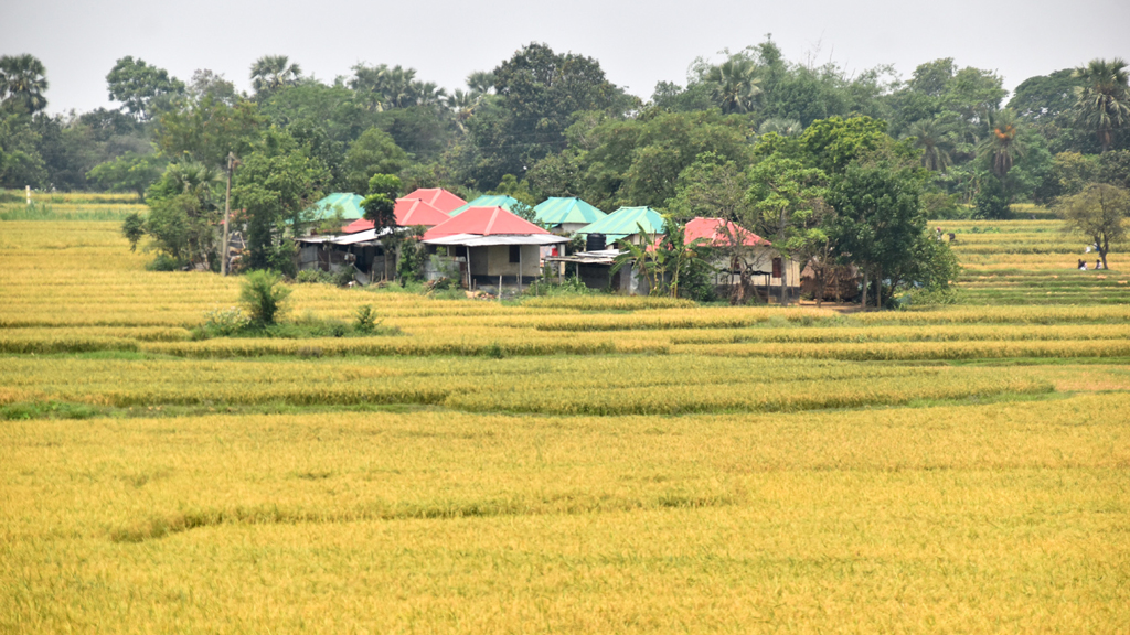 দিনের ছবি (৭ মে, ২০২৬)