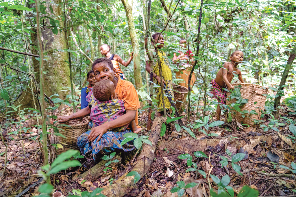 পিগমি জীবনদর্শন: আধুনিক সভ্যতার পাঠ