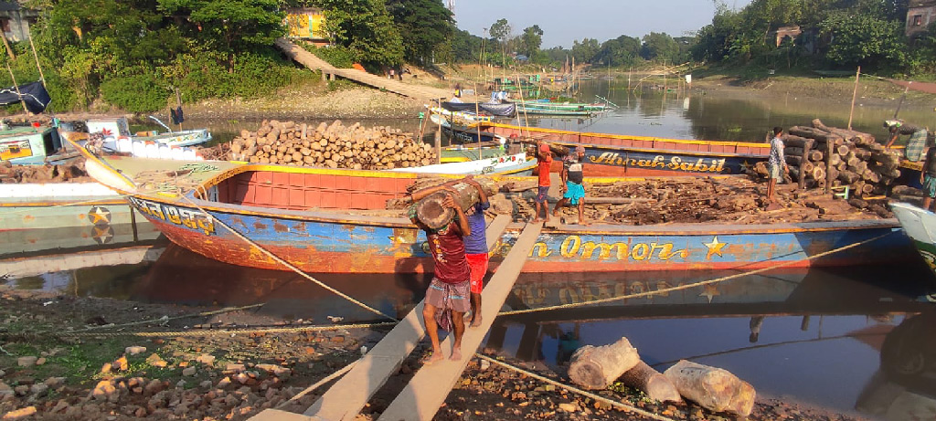 অবৈধভাবে আনা কাঠবোঝাই ৩৫ ট্রলার জব্দ