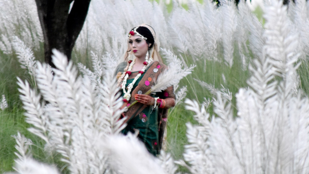 রাজশাহী বিশ্ববিদ্যালয়ের মাঠজুড়ে সাদা কাশফুল। সাদা কাশফুলে ভেতর বধূ সাজে সেজে এক নারী ছবি তুলছেন। ছবিটি রাজশাহী বিশ্ববিদ্যালয় একটি মাঠ থেকে তোলা। ১৫ সেপ্টেম্বর ২০২৩। ছবি: মিলন শেখ।