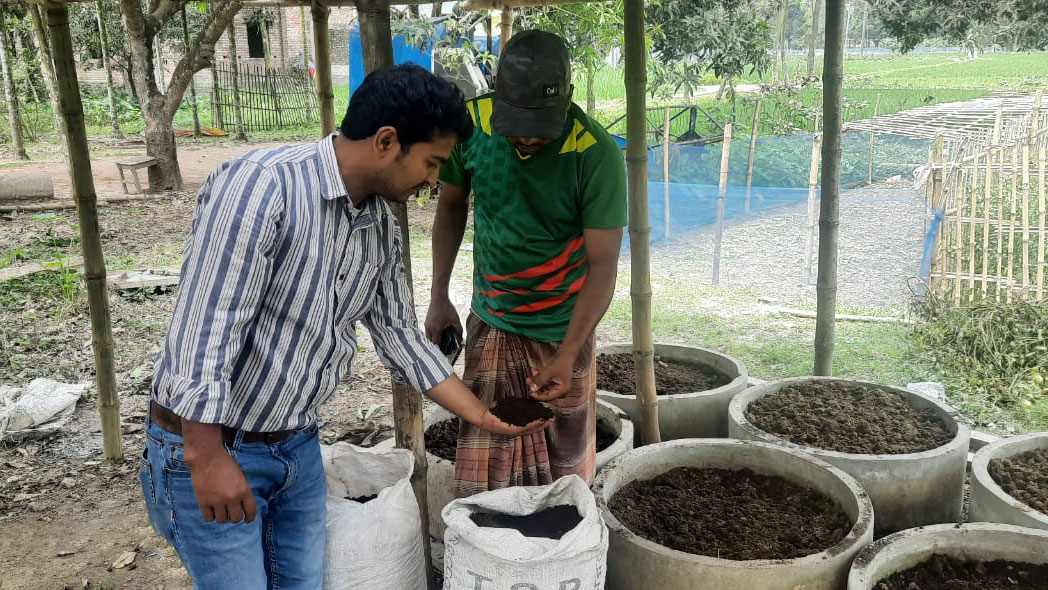 ঠাকুরগাঁওয়ে রাসায়নিকের বিকল্পে জনপ্রিয় হচ্ছে কেঁচো সার