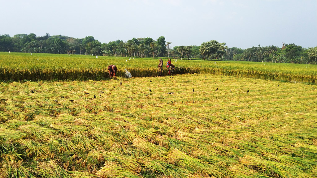 দিনের ছবি (০২ এপ্রিল, ২০২৩)