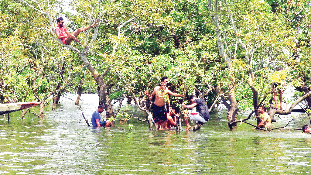 অরক্ষিত রামসার সাইট