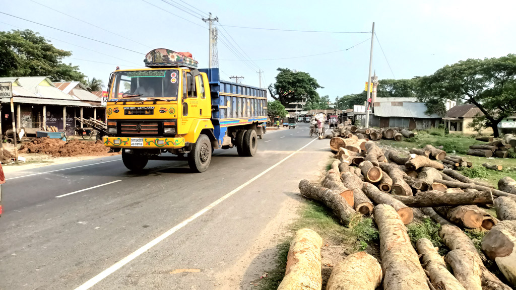 ৯৬% করাতকলই অবৈধ