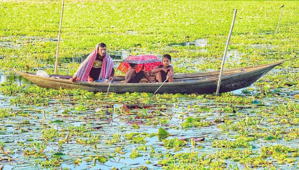 গ্রামাঞ্চলে মাছ শিকারের উপযুক্ত সময় এখন। কারণ খাল-বিল, নদী-নালার কম পানিতে প্রচুর মাছ থাকে। এ সময় পেশাদার জেলেদের সঙ্গে মাছ ধরায় যোগ দেন শৌখিন মাছ শিকারিরাও। আর মাছ শিকারে তাঁদের প্রথম পছন্দ বড়শি। সন্তানদের নিয়ে নৌকায় করে চকের (এক ফসল হয় এমন নিচু জমি) জলাশয়ে বড়শি দিয়ে মাছ শিকার করতে দেখা যাচ্ছে এমনই এক শৌখিন মাছ শিকারিকে। শিবালয়ের শিবালয় চক, মানিকগঞ্জ, ৯ সেপ্টেম্বর। ছবি: আব্দুর রাজ্জাক