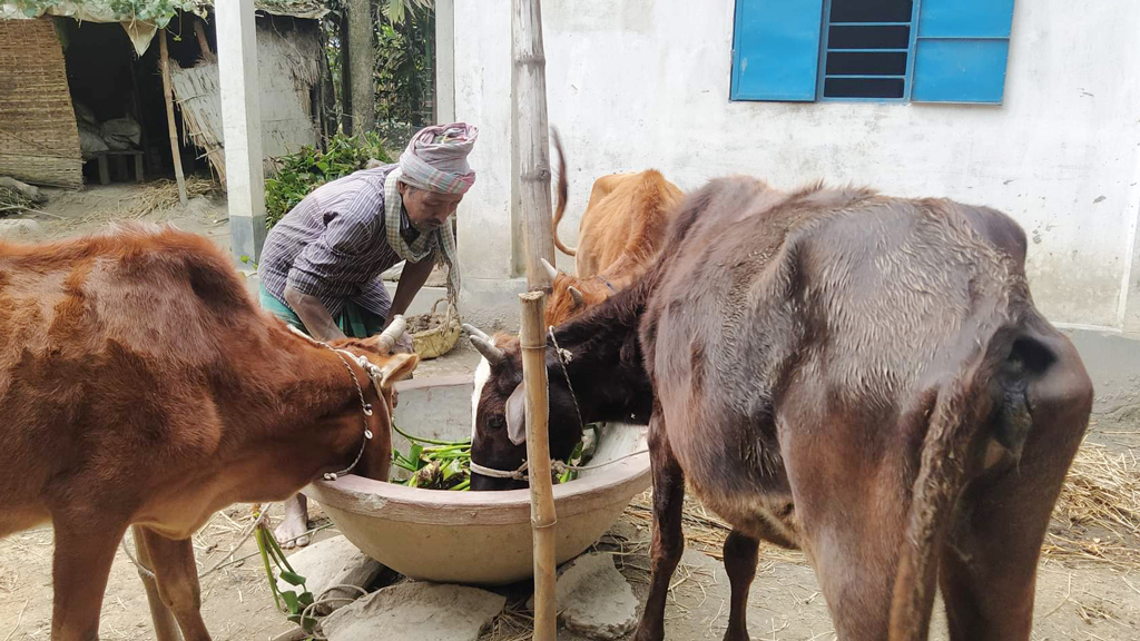 আশ্রয়ণের ঘরে নতুন স্বপ্ন