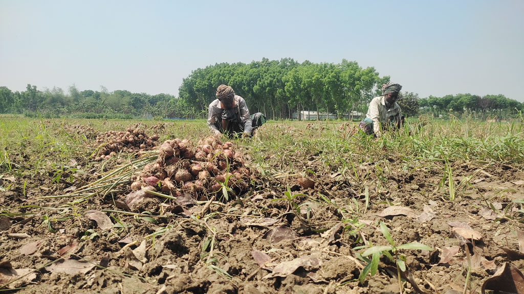দিনের ছবি (২৮ মার্চ, ২০২৩)