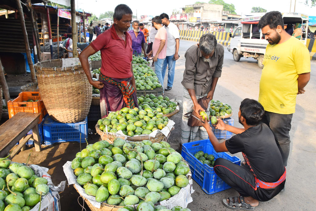 রাজশাহীর বাজারে উঠতে শুরু করছে ক্ষীরশাপাতসহ বিভিন্ন জাতের আম। পুঠিয়া উপজেলার বানেশ্বর বাজার থেকে তোলা, রাজশাহী, ১ জুন ২০২৪। ছবি: মিলন শেখ