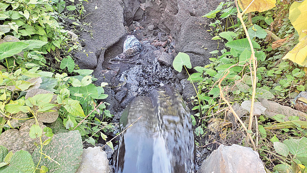 দূষণে মরছে মাটিকাটা