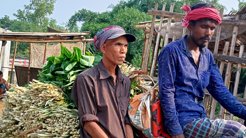 গ্রামে কদর নেই, তাই শহরে বিক্রি হচ্ছে ঘ্যাটকোল