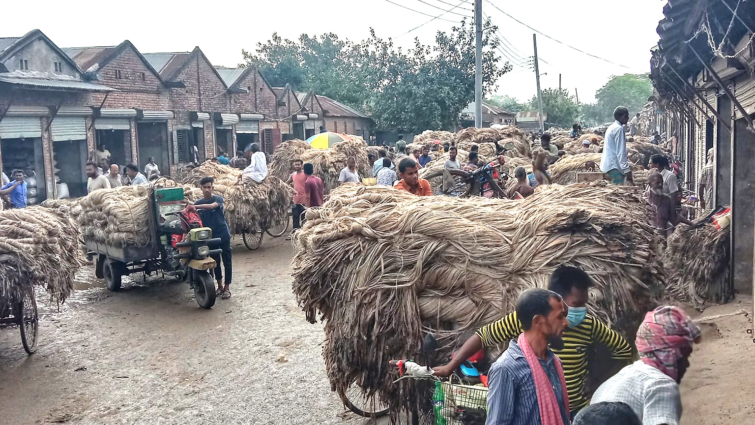 ভোগান্তির পাটে দামেও খরা