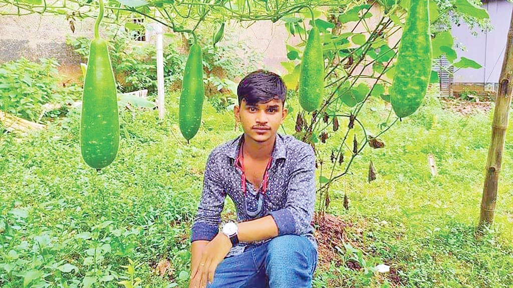 বৃত্তির টাকায় সবজির বাগান