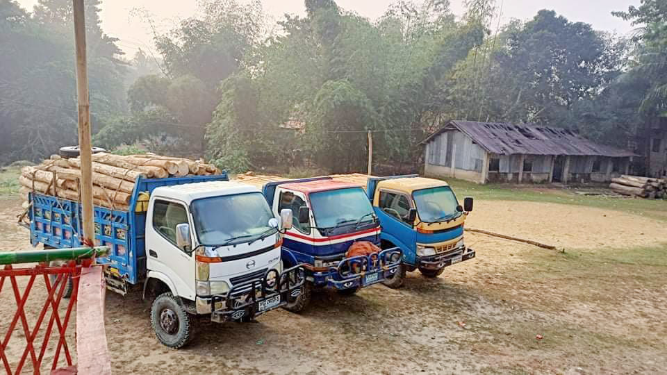 হাজার ঘনফুট কাঠ জব্দ, আটক ৩