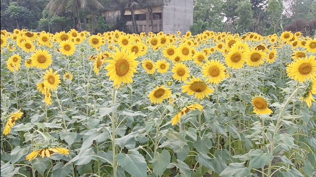 দিনের ছবি (০৩ এপ্রিল, ২০২৩)
