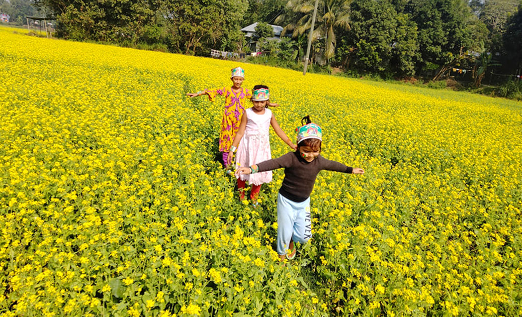পৌষের রোদমাখা মিষ্টি সকাল। সরিষা ফুলে হলুদ হয়ে গেছে মাঠ। বিজয় দিবসের দিন সেই হলুদ সরিষা খেতের আইল ধরে দৌড়ে যেতে দেখা যায় কয়েকটি শিশুকে। মাথায় তাদের বিজয় দিবসের ক্যাপ। ঘিওর উপজেলার বানিয়াজুরী ইউনিয়নের রাথুরা গ্রাম, মানিকগঞ্জ, ১৬ ডিসেম্বর ২০২৩। ছবি: আব্দুর রাজ্জাক