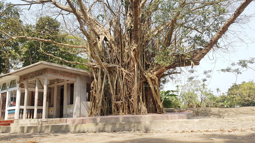 রূপকথা ছড়ানো বটগাছ দাঁড়িয়ে লালমোহনে