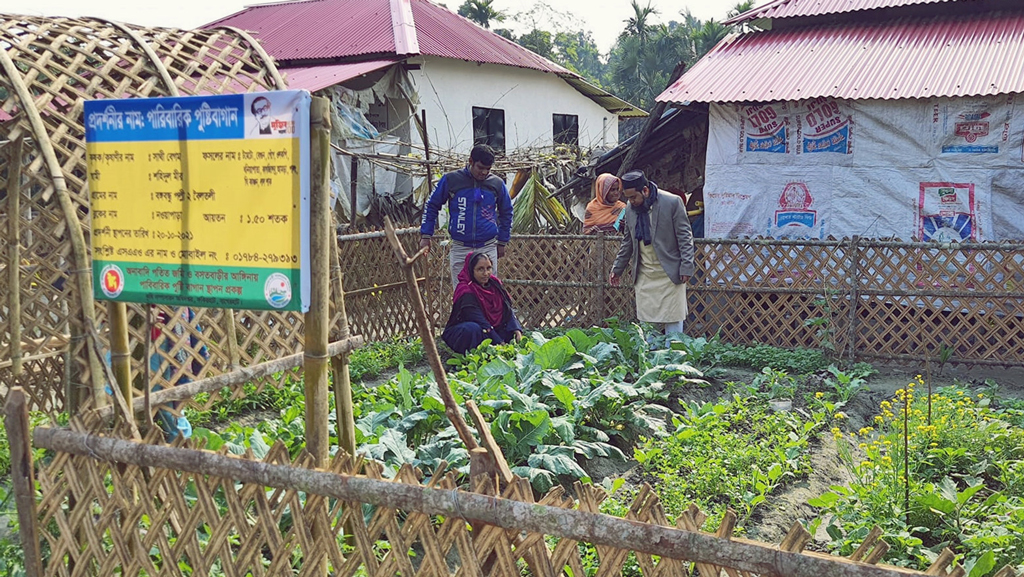 আশ্রয়ণকেন্দ্রে নান্দনিক সবজির খামার